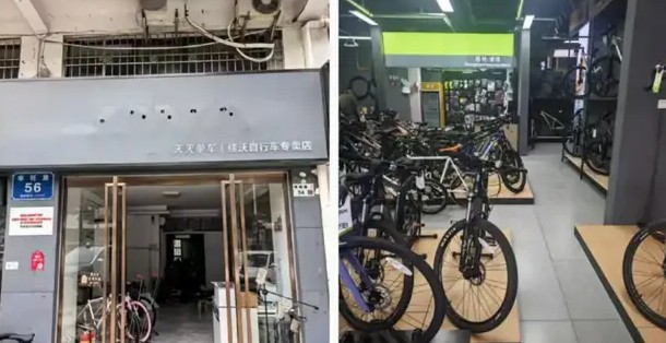 品牌营收创十年新低，为什么“捷安特”们也扛不住？