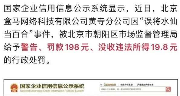 水仙当百合卖，罚款198元：盒马的管理裂缝补上了吗？