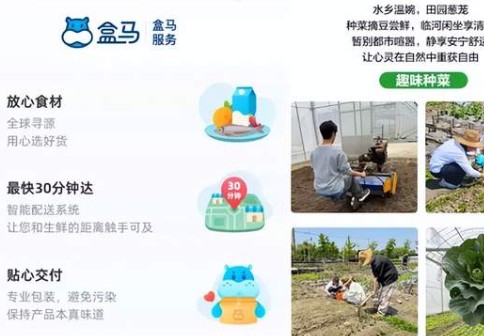 盒马卖起“共享菜园”：1598元当一年“地主”，城里人愿意为种地买单吗？